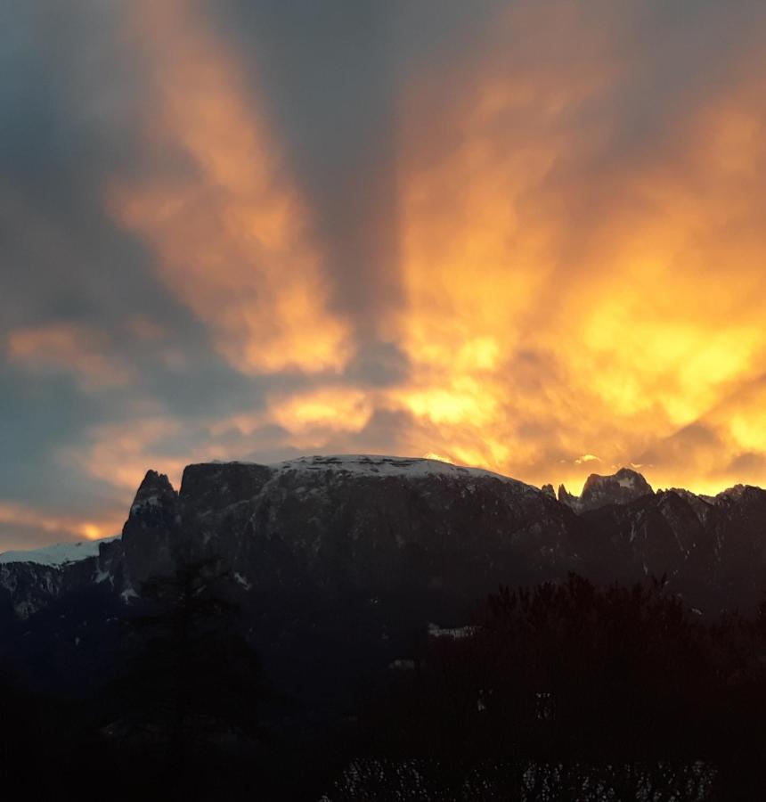 Oberpfaffstallerhof Collalbo Zewnętrze zdjęcie