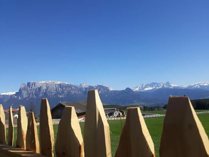 Oberpfaffstallerhof Collalbo Zewnętrze zdjęcie