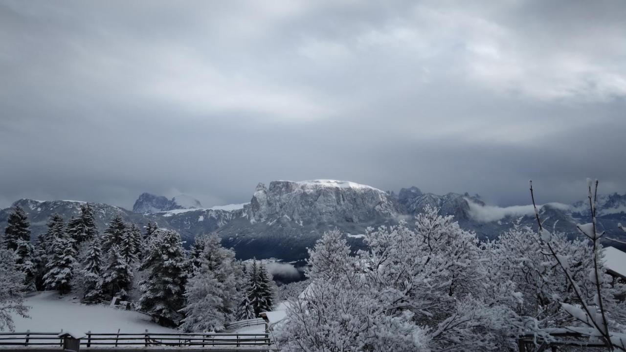 Oberpfaffstallerhof Collalbo Zewnętrze zdjęcie
